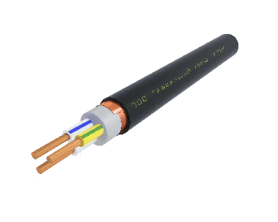 Кабель силовой ВВГЭнг(А)-LS 3х1.5 ок(N.PE)-0.66 Ч. бар