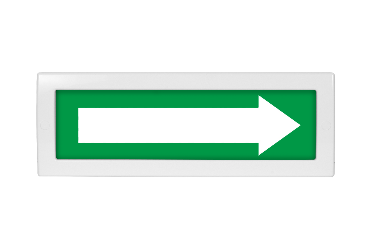 Оповещатель световой, двухстороннее исполнение с петлями для потолочного крепления Молния-2-12 Стрелка зеленый фон