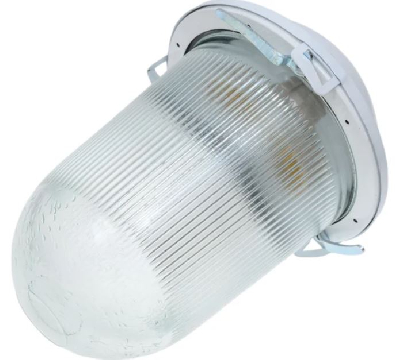 Светильник НСП-02-100-001 без решетки окрашенный IP52